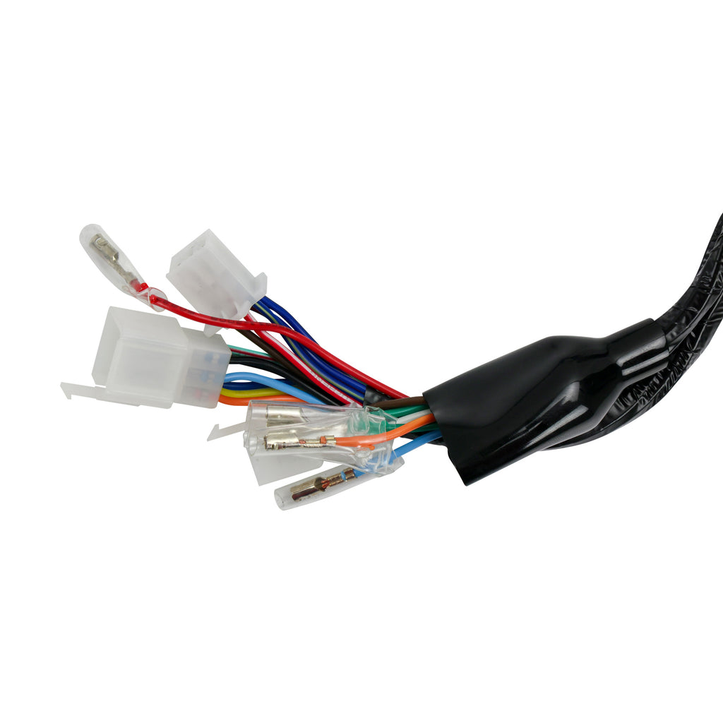 Arnes Cableado Electrico Completo Veloci Razzer 200
