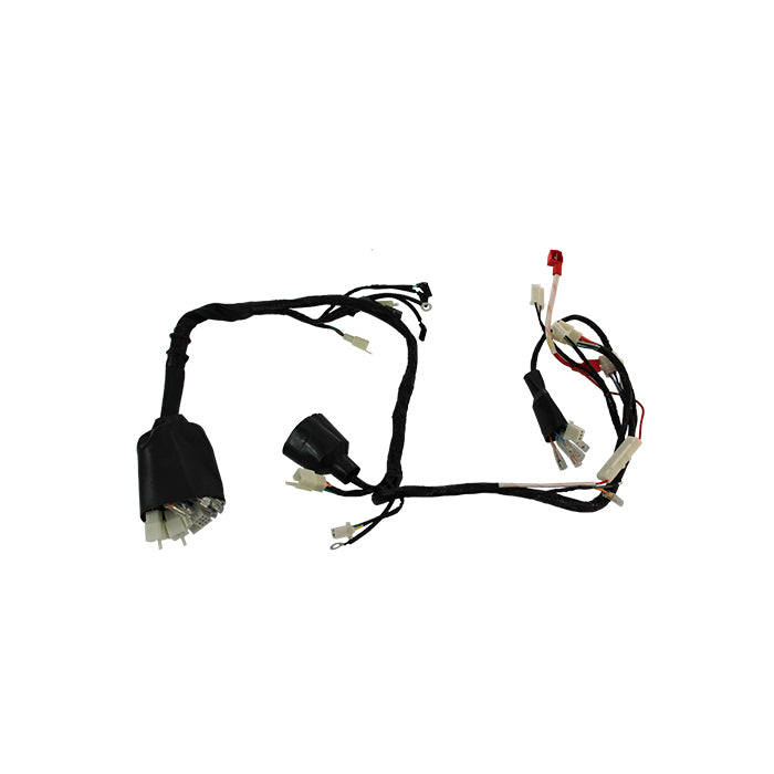 Arnes Electrico Cableado Completo Para Veloci Xeverus 250 Cc